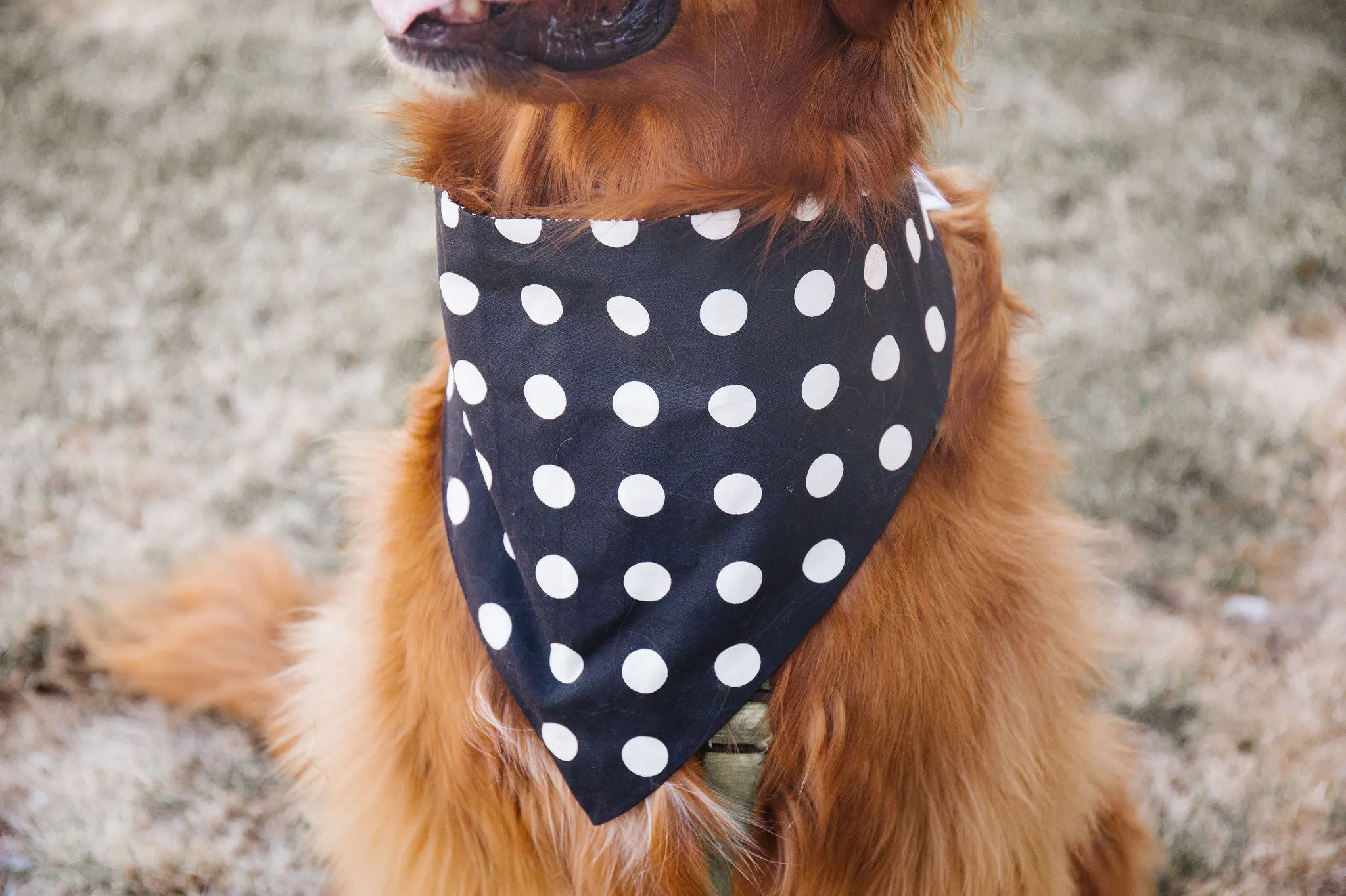 Black Houndstooth Reversible Dog Bandana